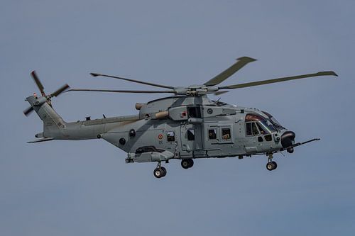 Aeronautica Militare Italiana AgustaWestland AW101.