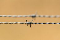 Traditioneel prikkeldraad - barbed wire van Rob Smit thumbnail