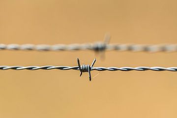 prikkeldraad - barbed wire