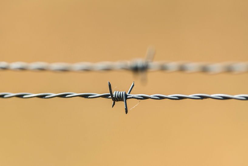 Traditioneel prikkeldraad - barbed wire van Rob Smit