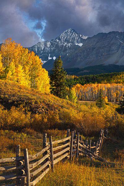 Wilson Peak Herbst Sonnenuntergang Foto - Colorado Rocky Mountains Bild, Aspen Wald Landschaft Wand Kunstdruck, Colorado Fotografie Drucke von Daniel Forster
