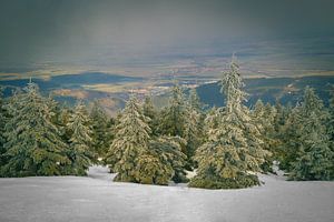 Brockenblick im Winter von Sabine Wagner