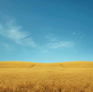 Ästhetischer Minimalismus