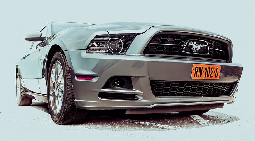 Mustang par marco de Jonge