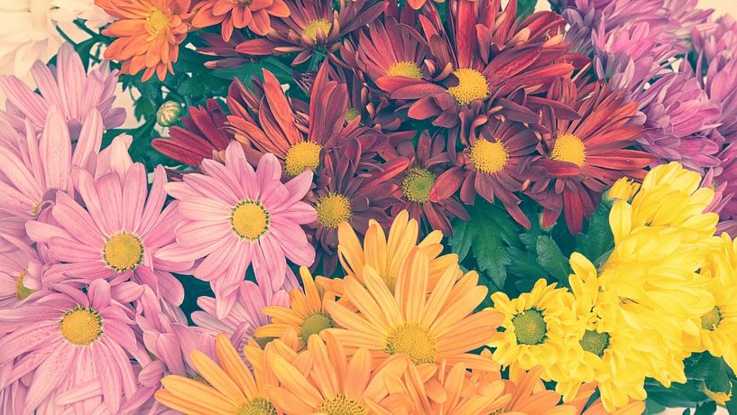 Chrysanthemen von Bo Valentino