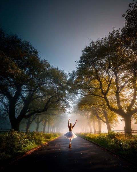 Himmel küsst Erde von fernlichtsicht
