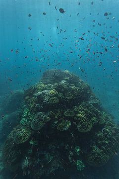 Crystal Bay sur Luc Buthker