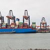 Containerterminal Tweede Maasvlakte van André Hamerpagt