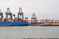 Containerterminal Tweede Maasvlakte van André Hamerpagt thumbnail