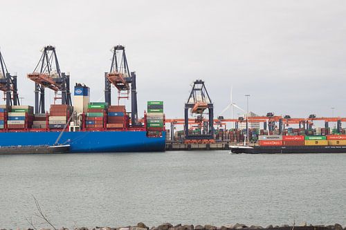 Containerterminal Tweede Maasvlakte