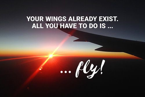 FLY