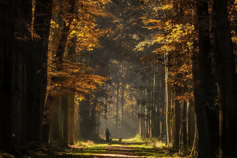 Look at the Birdie by Martin Podt