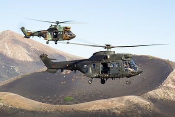 Spanish Army AS332 Super Puma sur Dirk Jan de Ridder - Ridder Aero Media