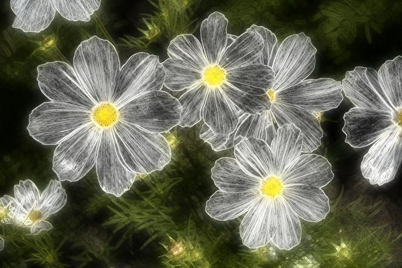 White Dream 1 par Edgar Schermaul