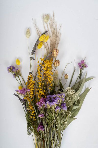 Drooglboemen by Jim Plaum