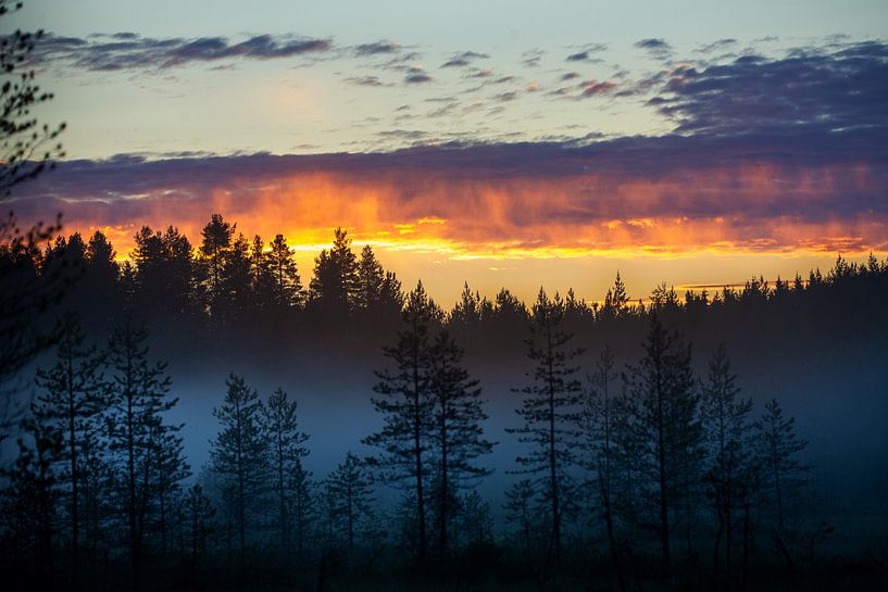Coloured sky at sunset in Finland by Caroline van der Vecht