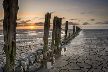 Sonnenuntergang am trockengelegten Wattenmeer