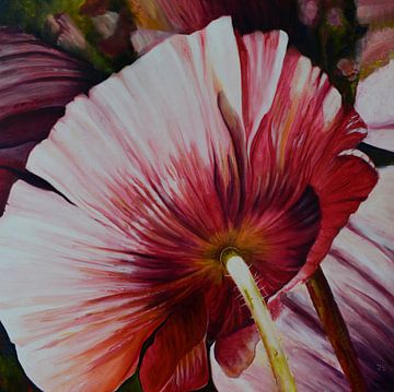 pink poppy nr 1 by Janny Schilderink......Atelier "de Tuute "