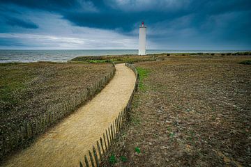 Ce sentier mène au phare. sur Martijn Brink