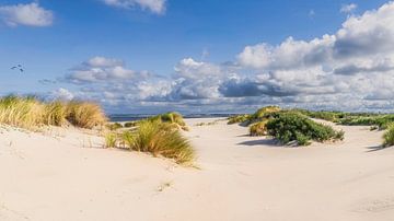 Kust van eiland Goeree-Overflakkee van eric van der eijk