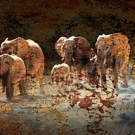 Elephants by Chris Moll