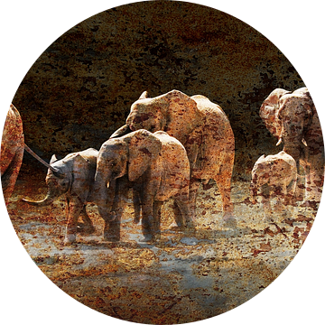 Namibië  :  Olifanten op weg naar de drinkplaats