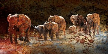Elephants by Chris Moll
