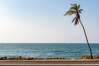Blick auf das Karibische Meer und Palm im Wind in Cartagena in Kolumbien, Südamerika