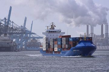 Maasvlakte von Peet de Rouw