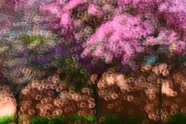 ARBRES EN FLEUR sur Miroslav Ptacek