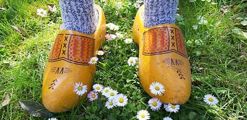 Clogs in the grass