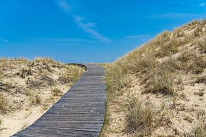 Landschaft in den Dünen bei Norddorf auf der Insel Amrum