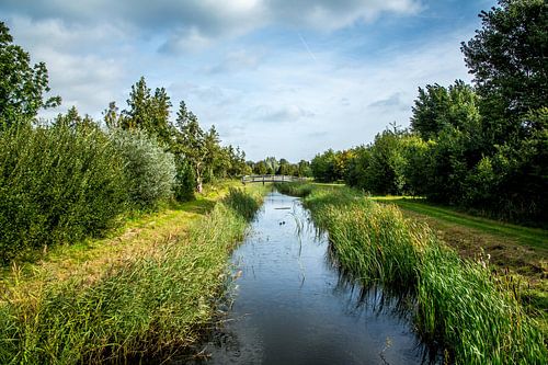 Utrecht-Maximapark met bruggetje 1