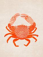 Rode krab