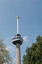Euromast Rotterdam by Richard Wareham thumbnail