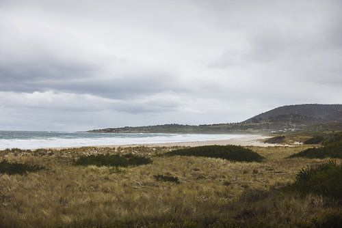 La baie des incendies : une mosaïque de couleurs et de nature