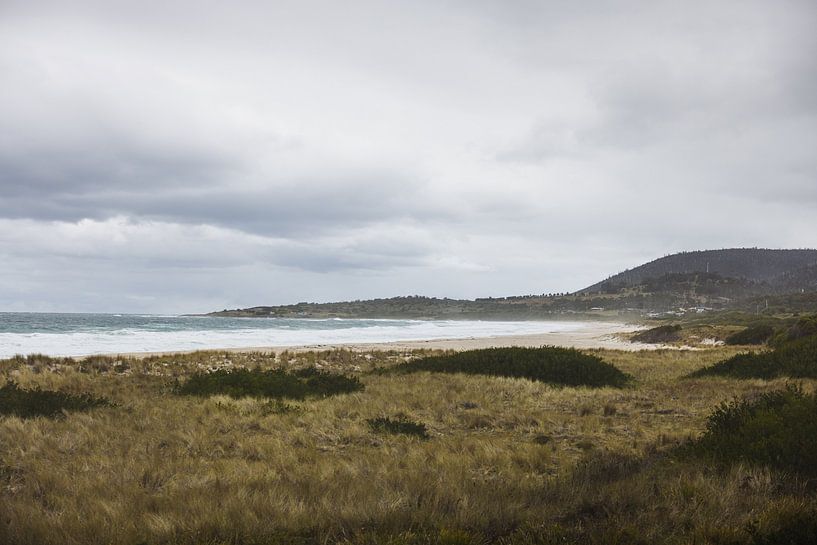 Bay of Fires: A Mosaic of Colour and Nature by Ken Tempelers