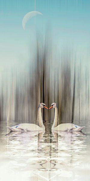 Hiver des cygnes II par Christine Nöhmeier