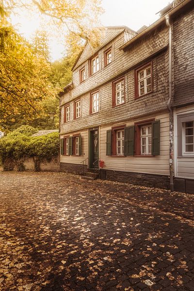 Monschau van Willi Schubert