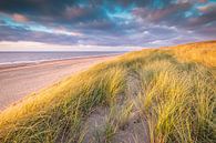 Paysage de dunes hollandaises par Original Mostert Photography Aperçu