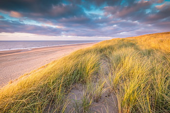 Paysage de dunes hollandaises
