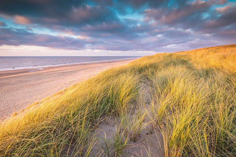 Paysage de dunes hollandaises par Original Mostert Photography