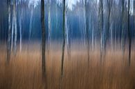 Wald in Bewegung von Richard van den Hoek Miniaturansicht