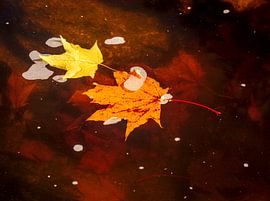 Two worlds by Roger Trelou