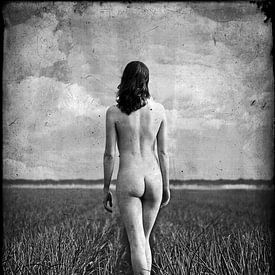The naked farmers daughter van Jos van den Berg