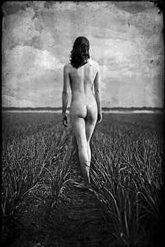 The naked farmers daughter by Jos van den Berg