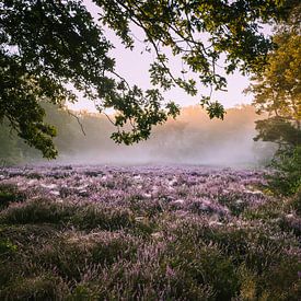 Zonsopkomst Garderen van Sylvia Schuur