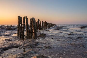 Verwitterte Pfähle auf dem Wattenmeer während eines ruhigen Sonnenuntergangs von KB Design & Photography (Karen Brouwer)