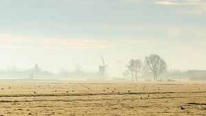 Cold morning by Cor de Bruijn