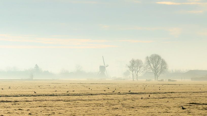 Matinée froide par Cor de Bruijn Photography